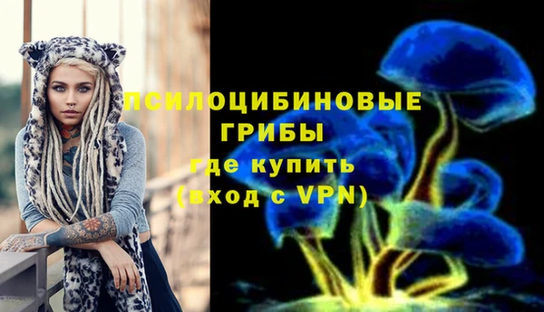 jwh Корсаков