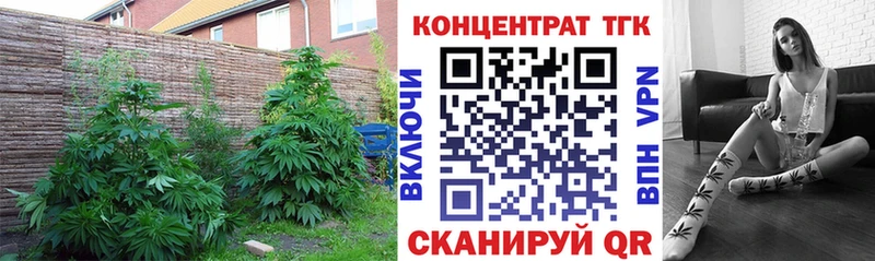 ТГК вейп с тгк Полтавская
