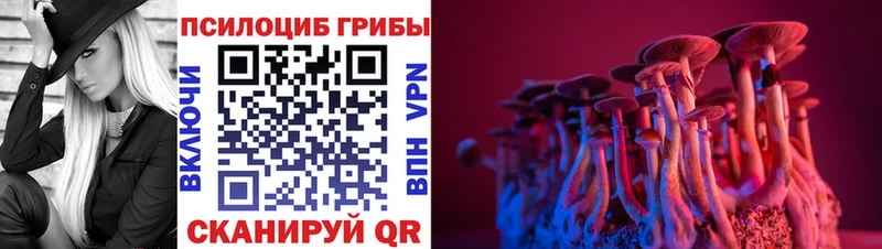 Купить закладки  Полтавская  Псилоцибиновые грибы Cubensis 